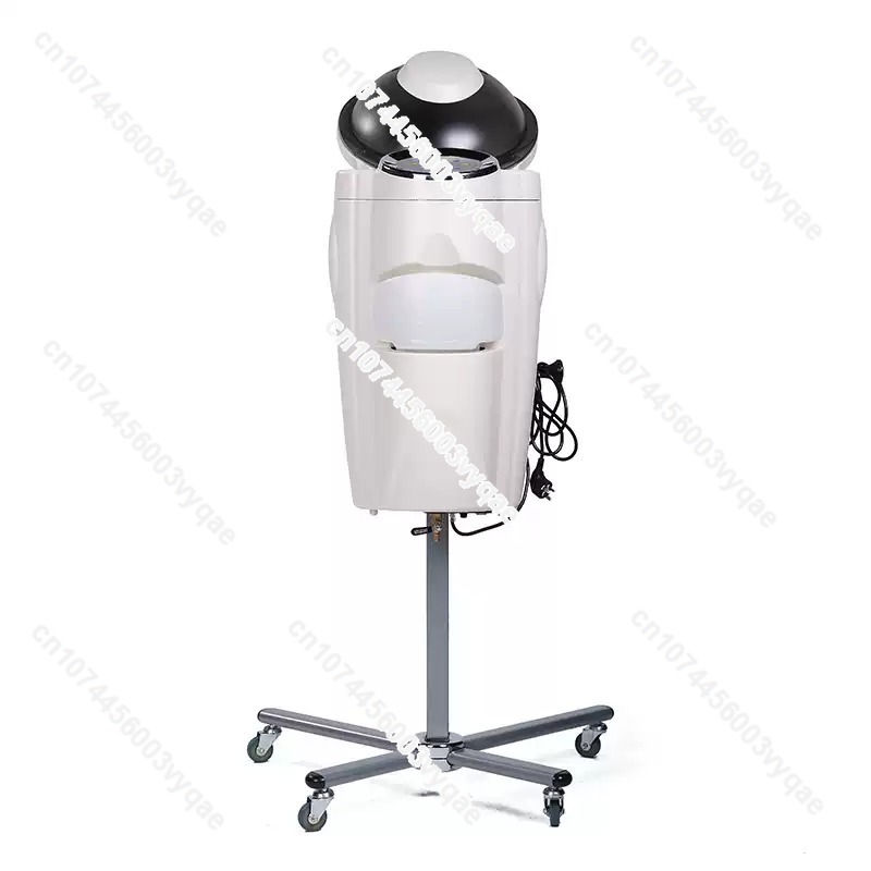 Hair Care In Salon - Oil Treatment Ozone Micro Mist Steam