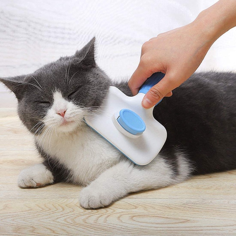 Self‑Cleaning Slicker Brush Pe - огляд і ціна Hair Care Is Self Care
